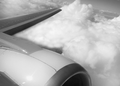 A photograph of a wing to illustrate the short story "Crash & Fly" by Jennifer Marie Donahue, published in issue 29 of Neon