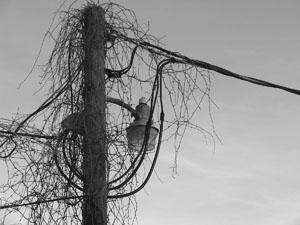 A photograph of a telephone pole to illustrate the poem "An Instance Of The Scientific Method" by Joe Evans, published in issue 37 of Neon