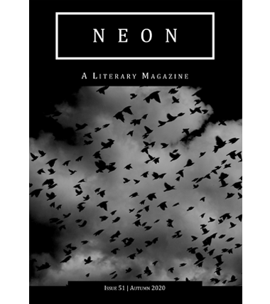 Neon Literary Magazine issue 51 - magical realist, surreal and slipstream short stories and poetry