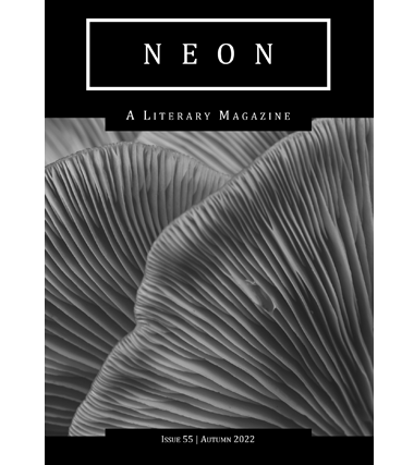 Neon Literary Magazine issue 55 - magical realist, surreal and slipstream short stories and poetry