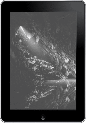 Issue 42 (Digital)
