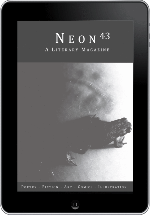 Issue 43 (Digital)