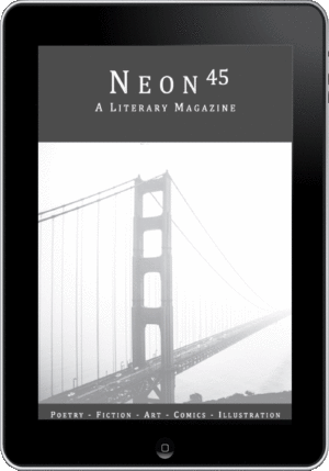 Issue 45 (Digital)