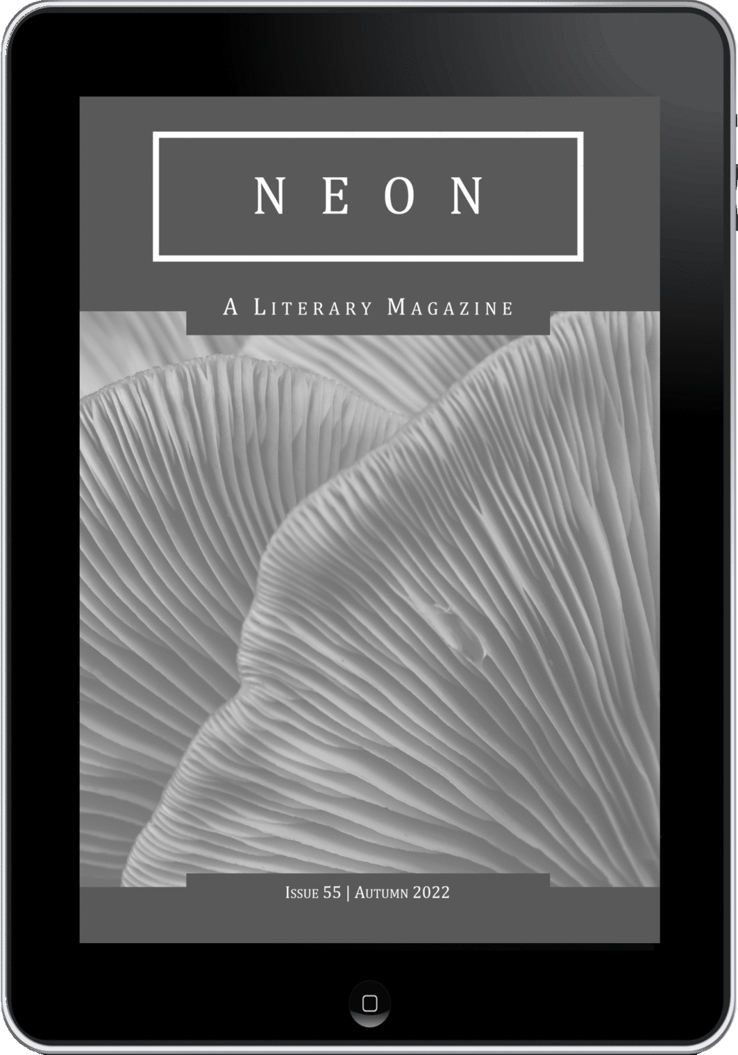 Issue 55 (Digital) – Neon